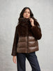 Brown 30b (30B)