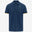 Blue Insignia (B67)