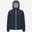 Blue Insignia (B67)