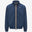 Blue Insignia (B67)