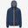 Blue Insignia (B67)