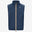Blue Insignia (B67)