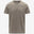 Beige Taupe (WG9)