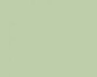 T-Shirt K-Way - Odom