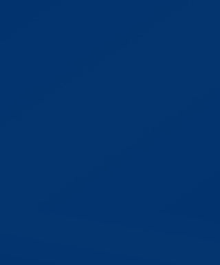 Bomber Blauer - Alwin